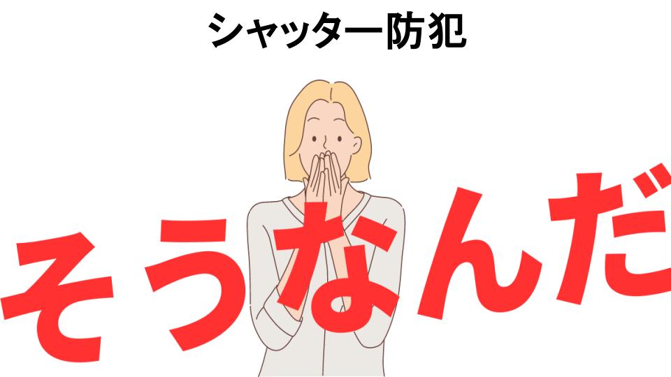 意味ないと思う人におすすめ！シャッター防犯の代わり